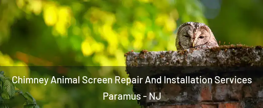  Chimney Animal Screen Repair And Installation Services Paramus - NJ