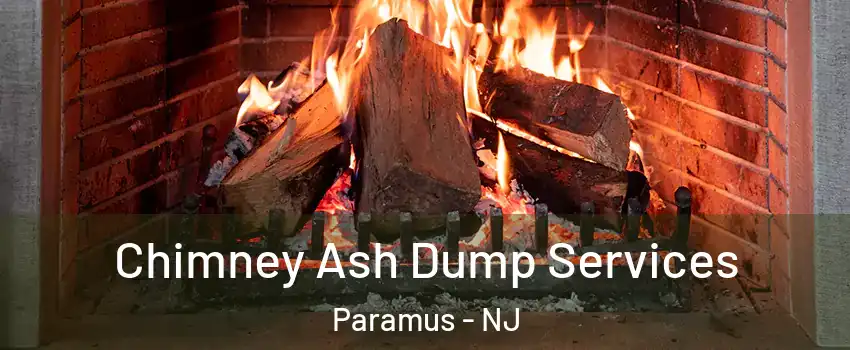  Chimney Ash Dump Services Paramus - NJ