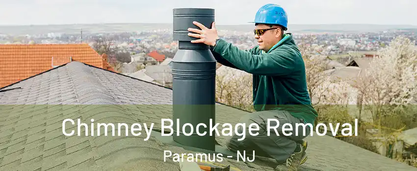  Chimney Blockage Removal Paramus - NJ