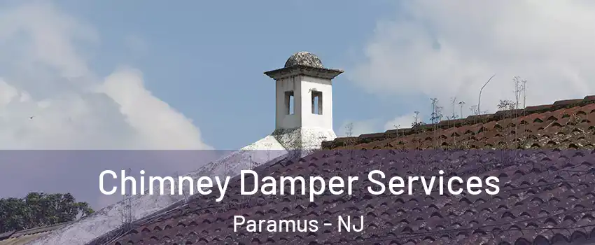  Chimney Damper Services Paramus - NJ