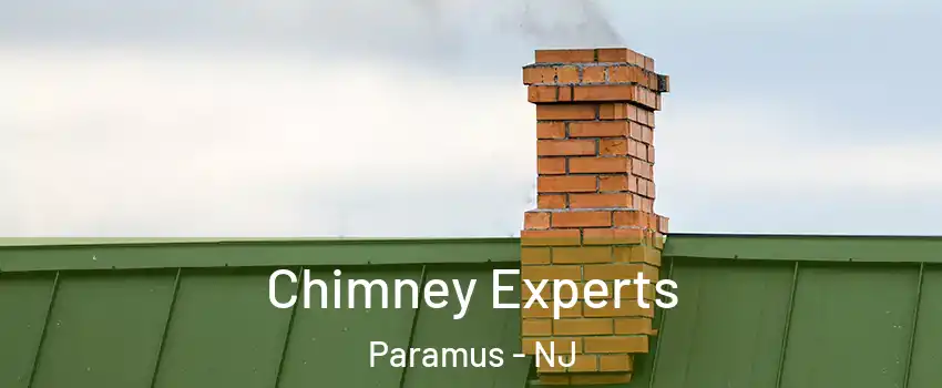 Chimney Experts Paramus - NJ