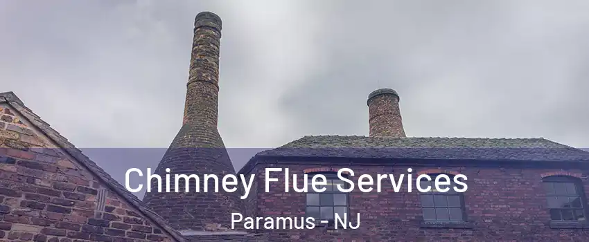  Chimney Flue Services Paramus - NJ