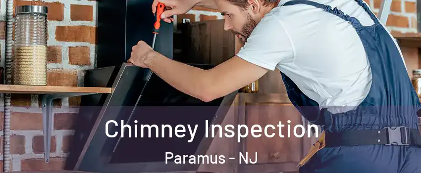  Chimney Inspection Paramus - NJ