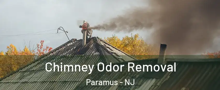  Chimney Odor Removal Paramus - NJ