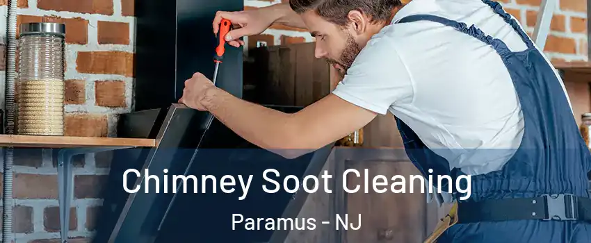  Chimney Soot Cleaning Paramus - NJ