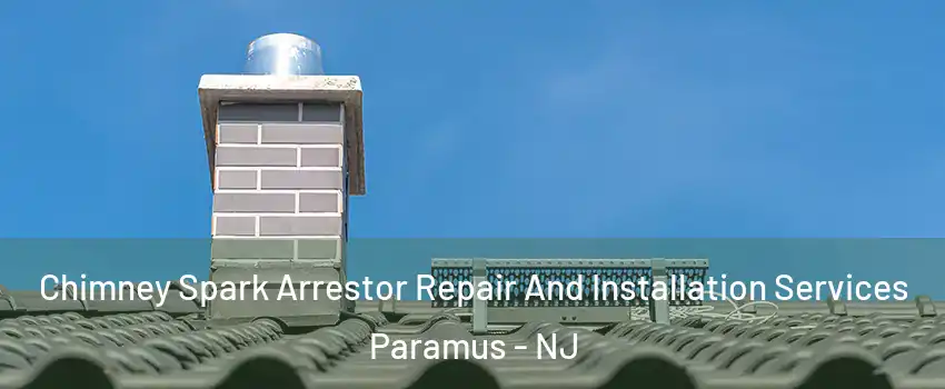  Chimney Spark Arrestor Repair And Installation Services Paramus - NJ