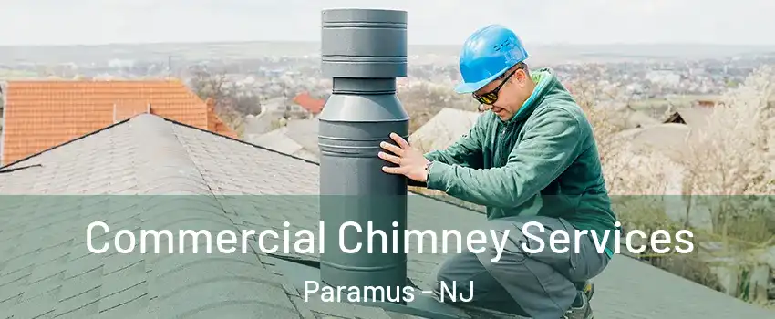  Commercial Chimney Services Paramus - NJ
