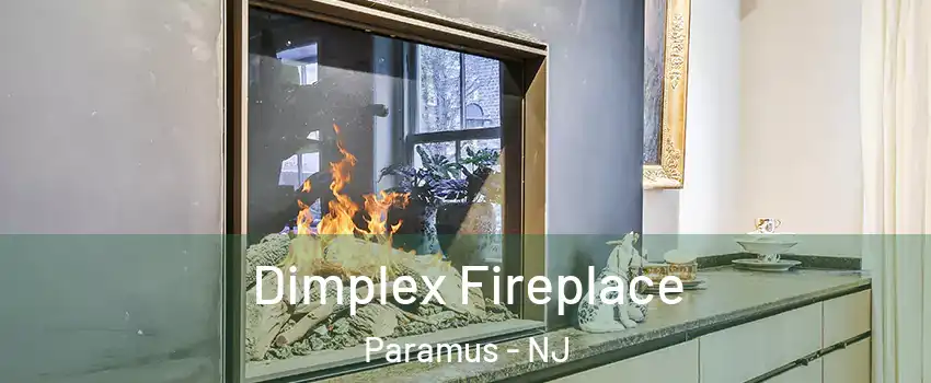  Dimplex Fireplace Paramus - NJ