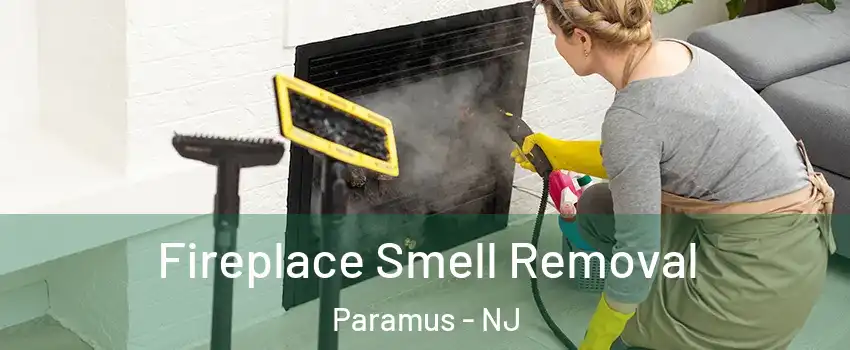  Fireplace Smell Removal Paramus - NJ