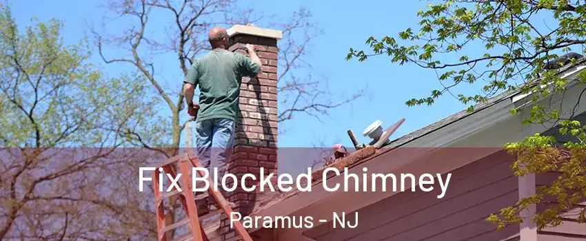  Fix Blocked Chimney Paramus - NJ