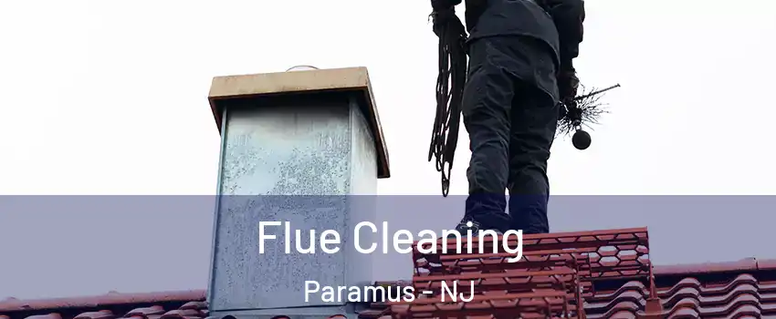  Flue Cleaning Paramus - NJ