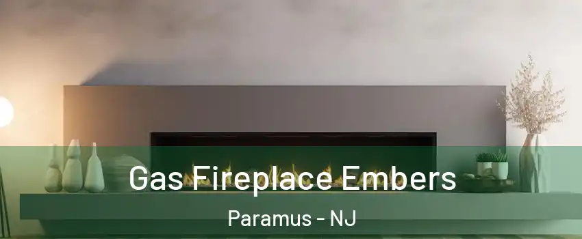  Gas Fireplace Embers Paramus - NJ