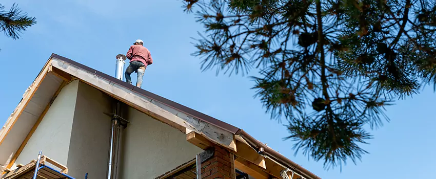 Birds Removal Contractors from Chimney in Paramus, NJ