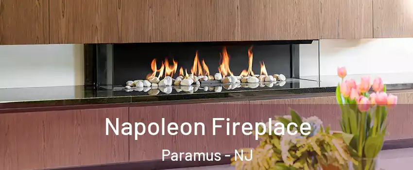  Napoleon Fireplace Paramus - NJ