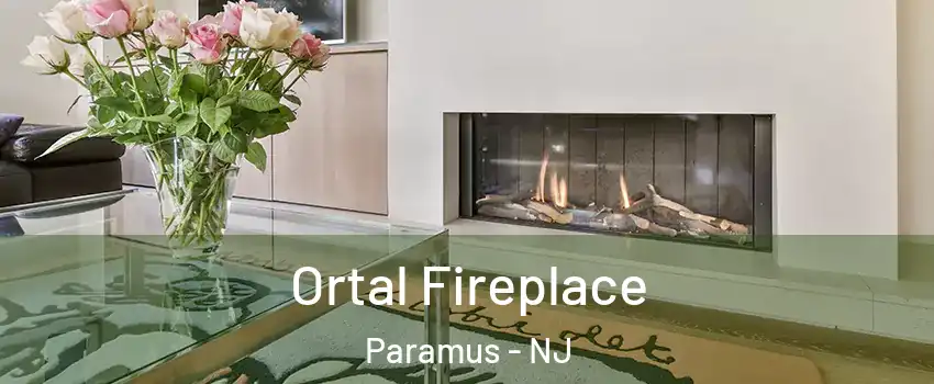 Ortal Fireplace Paramus - NJ
