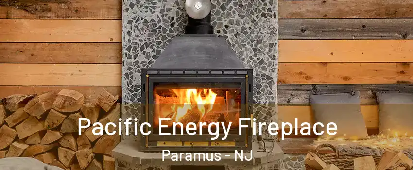  Pacific Energy Fireplace Paramus - NJ