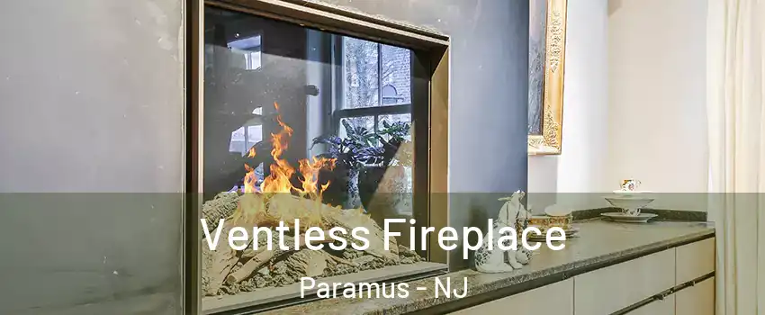  Ventless Fireplace Paramus - NJ